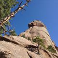 Precambrium Granite exposed at "The Castle" near Wellington Lake, Colorado, USA.