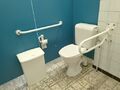 Wheelchair accessible toilet7.jpg