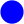 Blauer punkt.svg