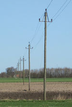 Pole-wooden-10kv.jpg