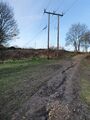 View North from within the field to the brambly margin