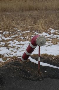 Hydrants 20130326 112938.JPG