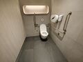 Wheelchair accessible toilet4.jpeg