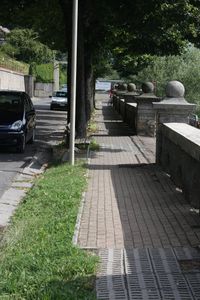 Sidewalk flower border.jpg