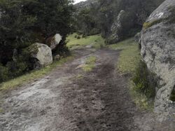 Peru rough track.jpg