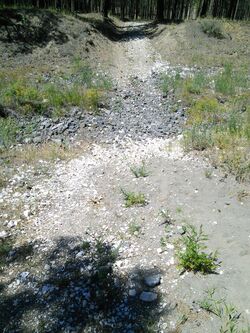 Normally-dry stream crossing.jpg