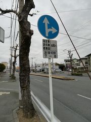 「指定車」「許可車」の表記がある「右左折禁止 restriction=only_straight_on」の標識例