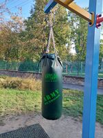 Outdoor punching bag.jpg