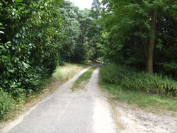 Belgium road track2.jpg