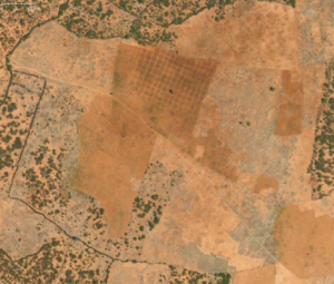 Somalia farmland.png