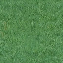 Grass-2048.JPG