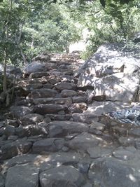 Steps on mountain trail.jpg