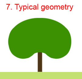 Treeparametersdescription2.jpg