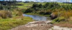 An example of a natural soakhole at the end of a small stream