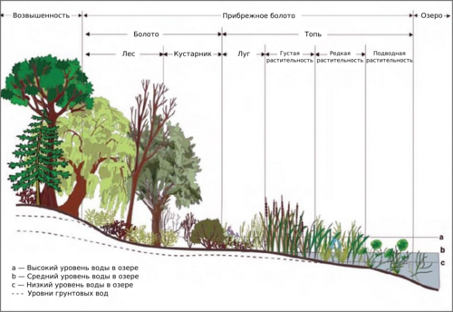 Ru USGS image cropped.png