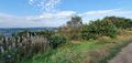 View from the top path of the Chevin over the heath with lots of scrub