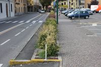 Sidewalk cycleway foot.jpg