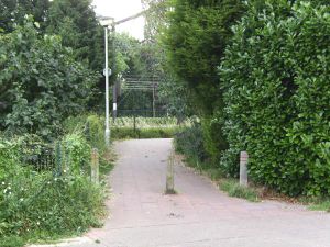 Belgium road path.jpg