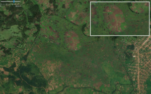 Farmland drc.png