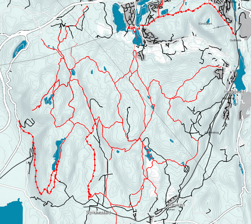 Kosmos-rules-skiing-vibrog.png