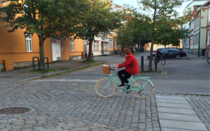 Picture of a woman in a red jacket riding a bike across a raised intersection.