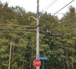 Canada telecom pole branch.jpg