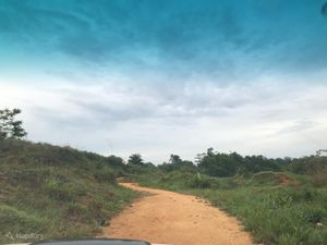 Track drc mapillary.jpg