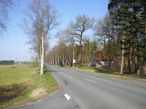 OHZ-K28-Bergedorfer Str.jpg