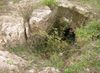 Etruscan hypogeum.jpg